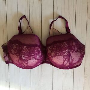 Torrid Curve burgundy lace bra SZ 44DDD underwire padded sexy full coverage